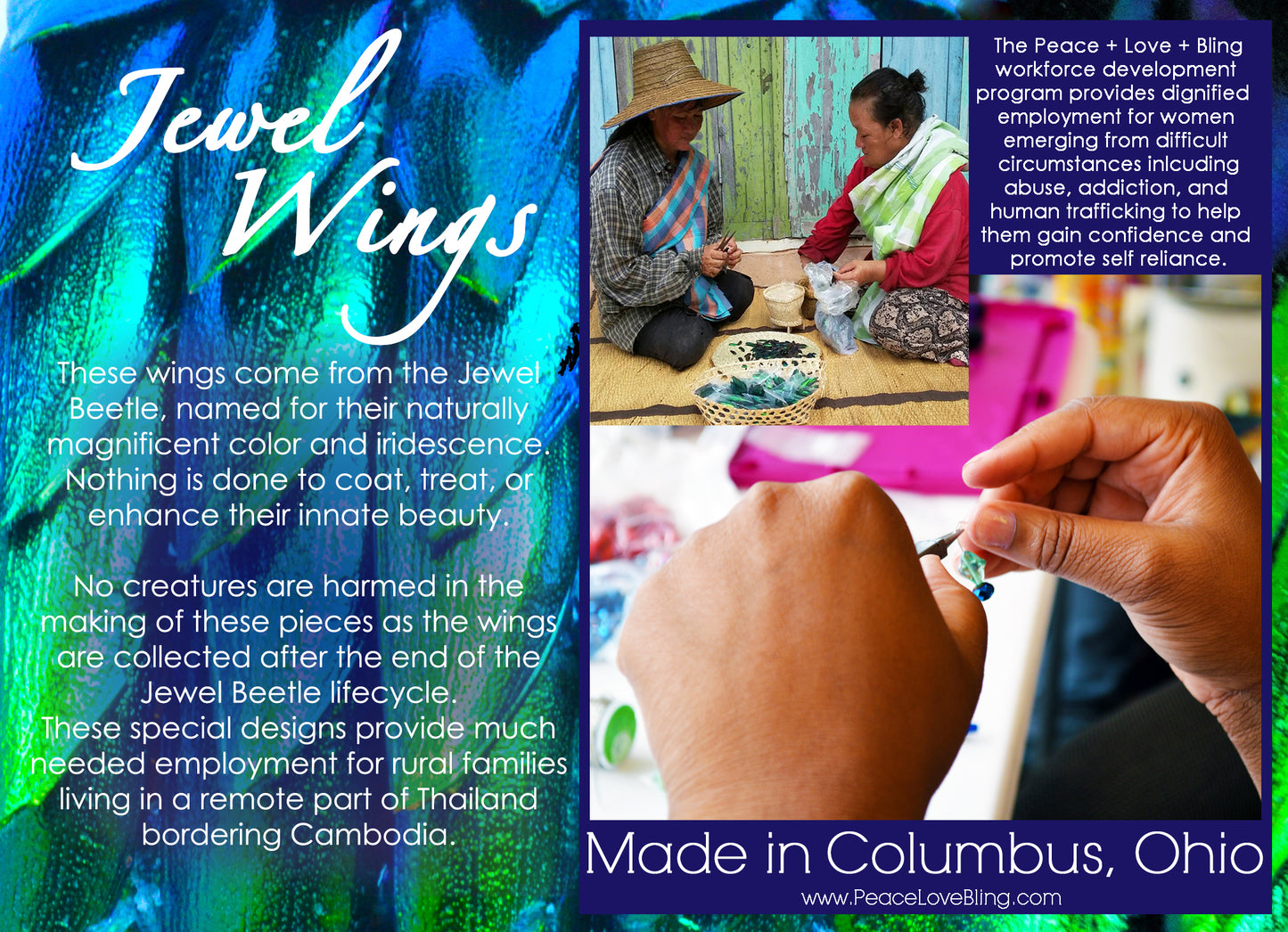 Jewel Wing Earrings